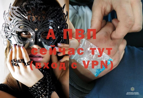 эйфоретик Белокуриха