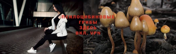 эйфоретик Белокуриха