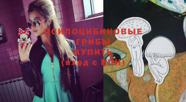 эйфоретик Белокуриха