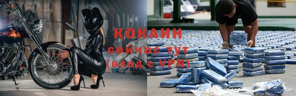 эйфоретик Белокуриха